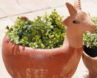 Terracotta planters