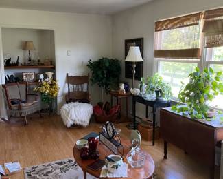 Live plants, rugs, antique stands