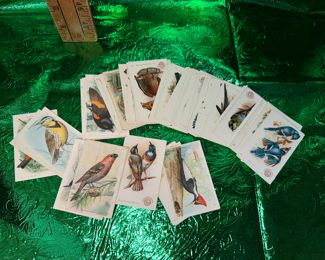 86 Arm and Hammer Bird Cards $60.00