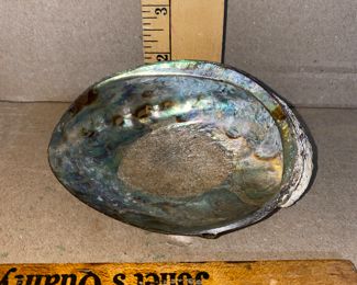 Keewee New Zealand Paua Shell $6.00