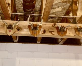 Misc. antler mounts