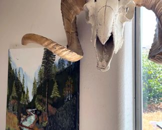 Ram skull and horns, Many New Mexico artists