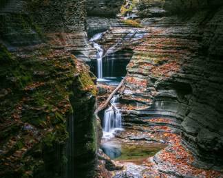 All photography is large scale and affixed to foam board