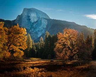 All photography is large scale and affixed to foamboard