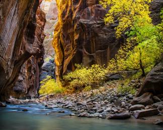 All photography is large scale and affixed to foam board