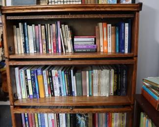 Books on tarot, numerology, crystals, reiki, chakra, feng shui, colorology, predicting the future, mysticism, new age, etc.