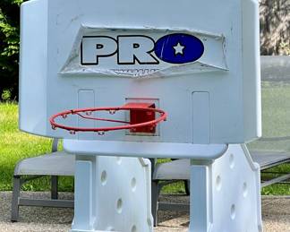 Swimline Pro Basketball Hoop