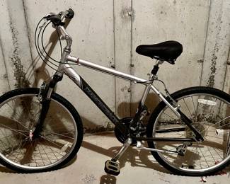 Diamondback Wildwood Deluxe Bike