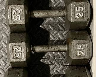 Dumbells (20lbs., 25lbs., 30lbs.)