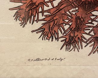 Round Sea Urchin Fine Art Giclee Chromolithograph from Original 1791 Hand-Colored Engraved Print - 2 Available. Each Measures 36" x 36." Photo 2 of 6.