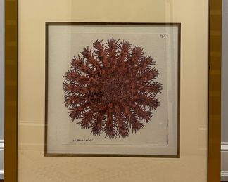 Round Sea Urchin Fine Art Giclee Chromolithograph from Original 1791 Hand-Colored Engraved Print - 2 Available. Each Measures 36" x 36." Photo 1 of 6.