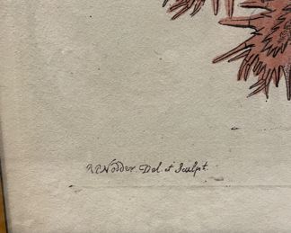 Round Sea Urchin Fine Art Giclee Chromolithograph from Original 1791 Hand-Colored Engraved Print - 2 Available. Each Measures 36" x 36." Photo 3 of 6.