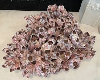 Antique Acorn Barnacle Cluster.