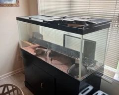Reptile tank and stand. 75 gallon