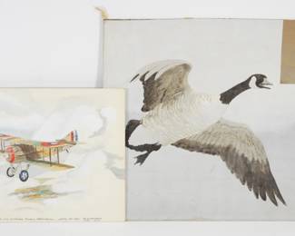 77:2PC Aviation & Avian Illustration & Painting