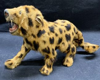 Taxidermy Juvenile Big Cat Display
