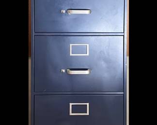 Storage file cabinet in garage 