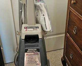 Hoover rug cleaner
