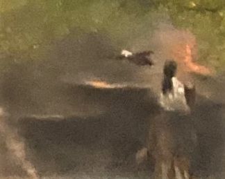 Artist E. Anthony - 2019 - woman on horse in bottom right corner