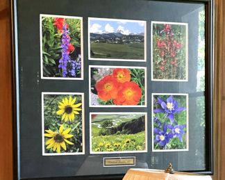 Scenes from Crested Butte, Colorado