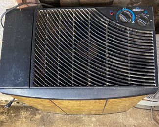 Humidifier with filters