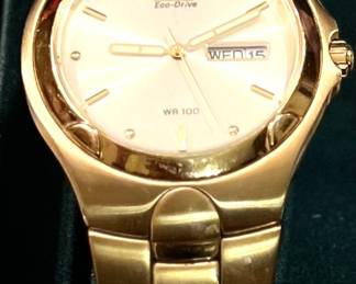 Citizen Eco drive men’s watch