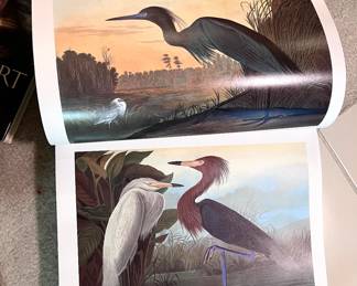 Audubon's Birds of America by Roger Tory Peterson & Virginia Marie Peterson - Large coffee table book