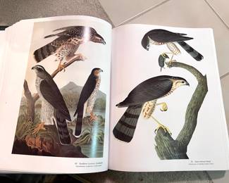 Audubon's Birds of America by Roger Tory Peterson & Virginia Marie Peterson - Large coffee table book