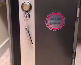 The Protector Firesafe 