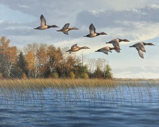 Phil Scholer 'Gainy's Point' Oil on Canvas 1960