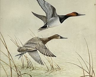 Angus H. Shortt Watercolor on Paper