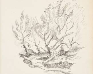 57: Thomas Hart Benton "Trees Along the Missouri" Graphite (ca. 1965)