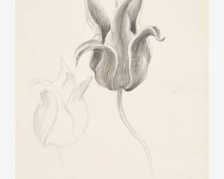 32: Thomas Hart Benton "Study of Flowers" Graphite (ca. 1939-41)