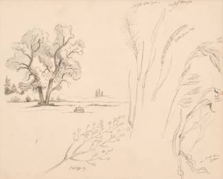75: Thomas Hart Benton "Sketches of Tree and Tall Grasses" Graphite (ca. 1963)