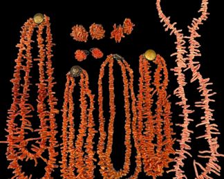 Antique Coral Jewelry Collection
