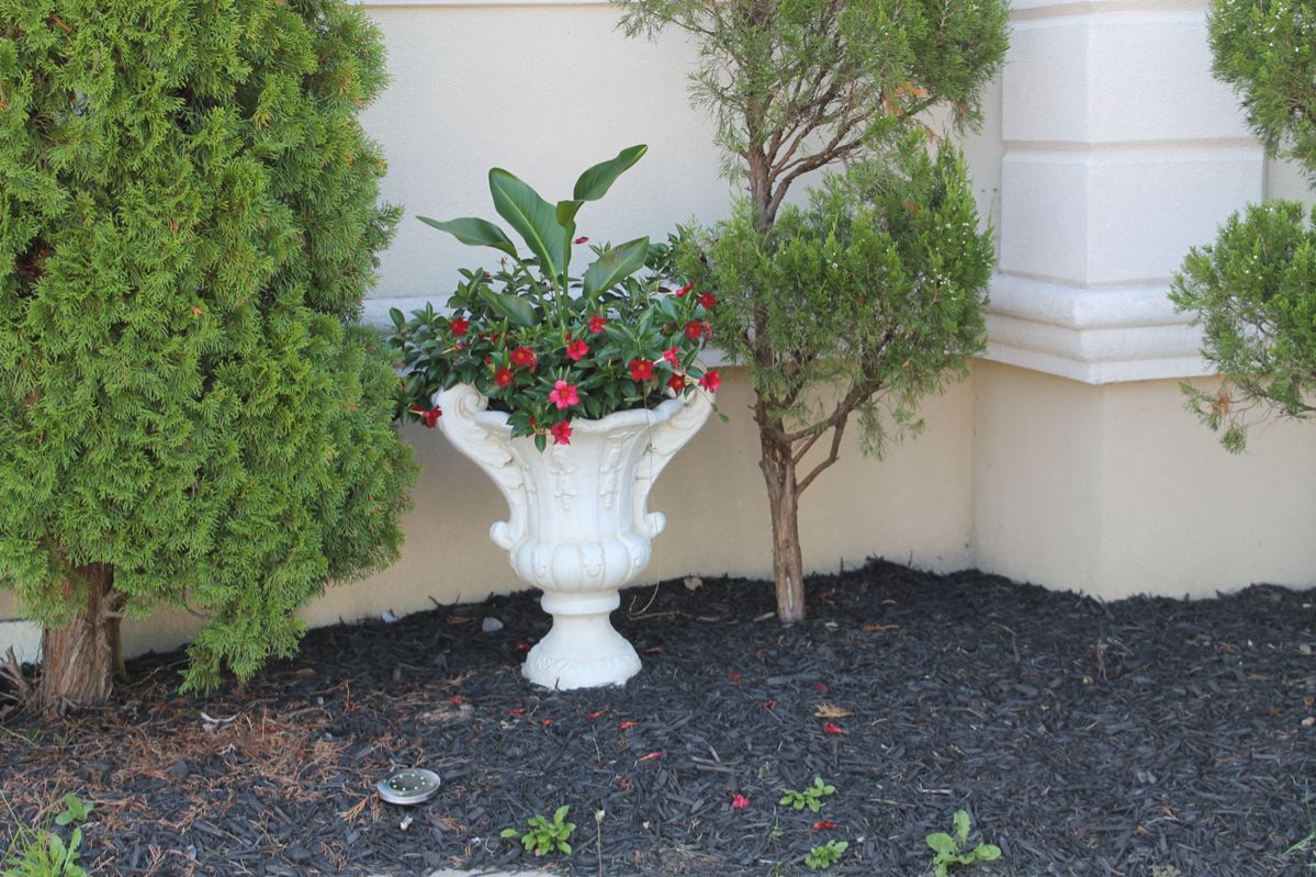 Coastal Charm Waterfront Waretown Blue Moon... starts on 9/9/2023