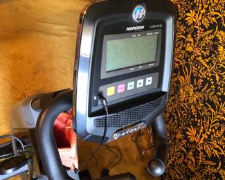 Horizon Comfort R Electrical Bicycle