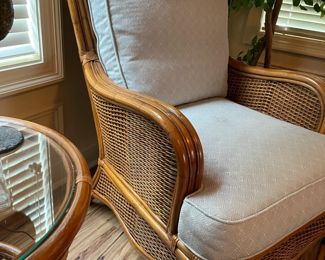 rattan armchair, beige pattern, houseplants