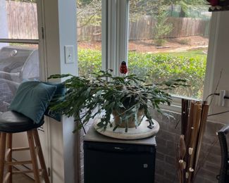 various houseplants, stands, leather and wood stool