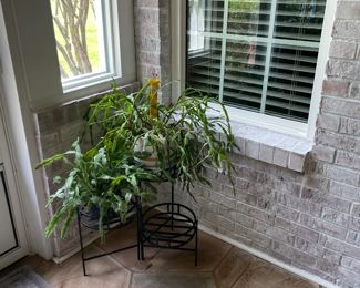 houseplants, plant stands