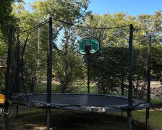 Trampoline with Net.