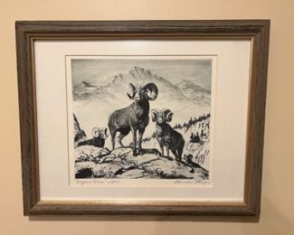 Signed Numbered Lithograph 'Bighorn Sheep' 10/100