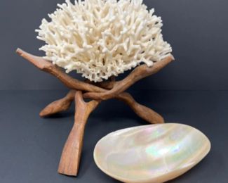 Mother of Pearl Shell Dish & Bird's Nest Coral on Stand