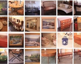 Peregrine Falcon collage