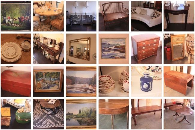 Peregrine Falcon collage