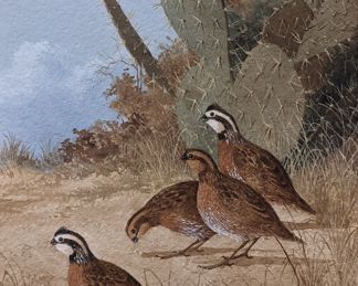 Robert Quill Johnson Watercolor