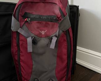 Osprey Meridian Day Packi