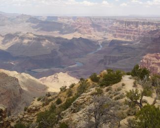 For information about our services, call Flip at 817/312-3074.