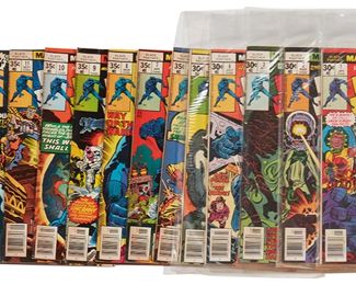 129
A Group Of Bronze Age Marvel Black Panther Comics
Comprising issues Vol. 1: #1-#15

15 pieces
Estimate: $100 - $200
