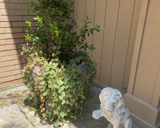 Large outdoor plants and statues 